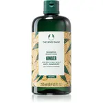 The Body Shop Ginger Shampoo šampon proti lupům 250 ml