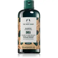 The Body Shop Shea Shampoo vyživující šampon 250 ml