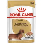 Royal Canin Dachshund Adult kapsička 85 g