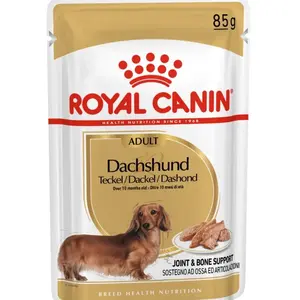 Royal Canin Dachshund Adult kapsička 85 g