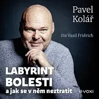 Pavel Kolář – Labyrint bolesti CD-MP3