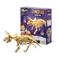 Dinodig vykopávka a kostra Triceratops