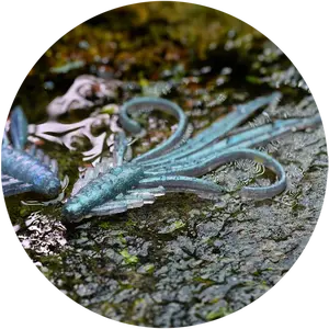 Redbass gumová nástraha nymfa fry - s 53 mm