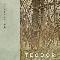 Teodor – Sanatorium