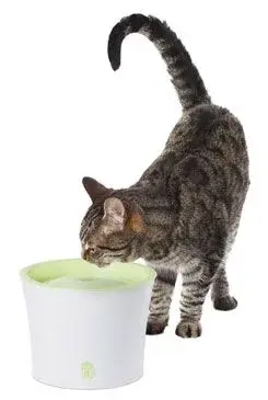 Fontána Catit plast velká 3 L