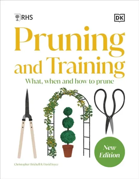 RHS Pruning and Training - kolektiv autorů