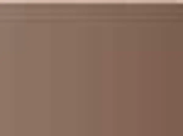 Pastel Caran d'Ache Neocolor I 059 Brown