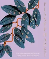 Plantphabet: A stunningly illustrated A-Z celebration of popular indoor plants, for fans of Plant Society, Leaf Supply and Plantopedia - Harper by Des