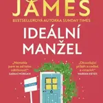 Ideální manžel - Erica James
