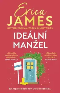 Ideální manžel - Erica James