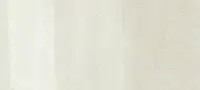 Copic sketch marker - W1 warm gray