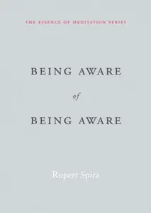 Being Aware of Being Aware - Rupert Spira