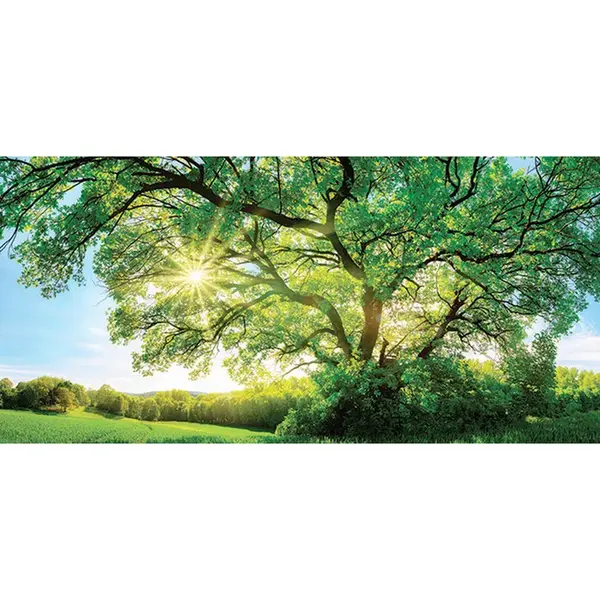 Euroart MALBA NA PLÁTNĚ, krajina a příroda, 115/55/3 cm