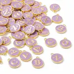 Golden Plated Alloy Enamel Charms