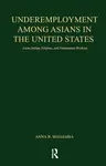 Underemployment Among Asians in the United States - Anna B. Madamba