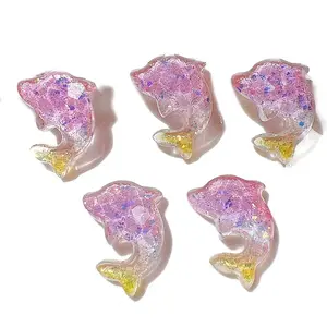 5Pcs Resin Cabochos