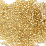 10G Glass Seed Beads