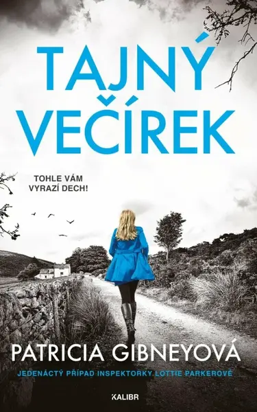 Tajný večírek (poškozená) - Patricia Gibneyová