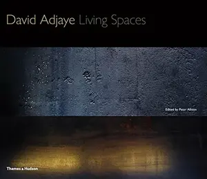 David Adjaye - David Adjaye
