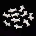 Natural Trochid Shell/Trochus Shell Beads