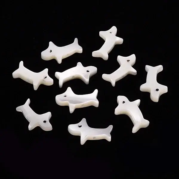 Natural Trochid Shell/Trochus Shell Beads