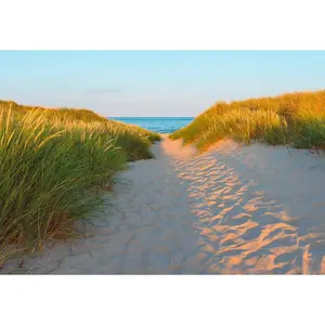 FOTOTAPETA velikost: 368/254 cm