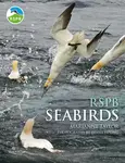 RSPB Seabirds - Taylor Marianne