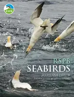 RSPB Seabirds - Taylor Marianne