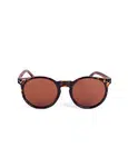 Carny Design Brown