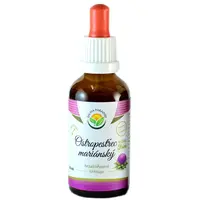 Salvia Paradise Ostropestřec mariánský bezalkoholová tinktura tinktura pro podporu trávení 50 ml