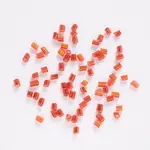 Two Cut Glass Seed Beads