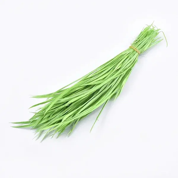 Goose Feather Costume Accessories