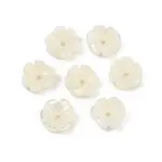 Natural Trochus Shell Flower Charms