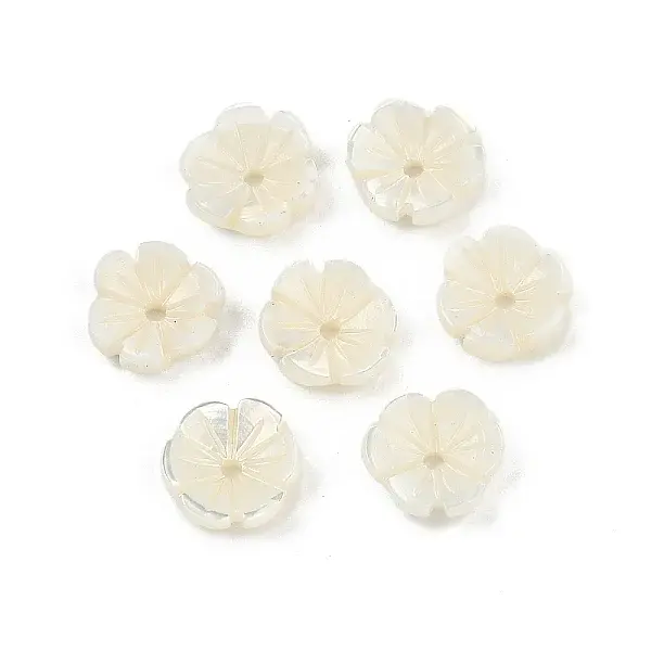 Natural Trochus Shell Flower Charms