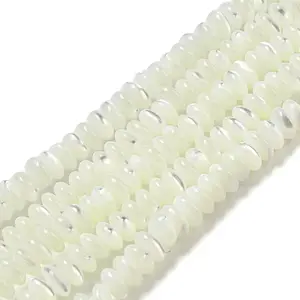 Natural Trochus Shell Beads Strands