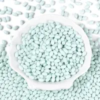Baking Paint Glass Seed Beads