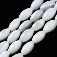 Natural Freshwater Shell Beads Strands