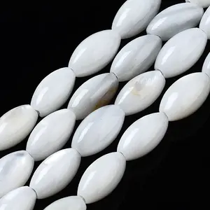 Natural Freshwater Shell Beads Strands