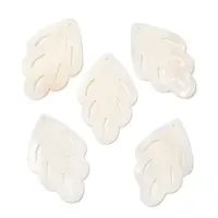 Natural Freshwater Shell Pendants