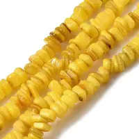 Natural Freshwater Shell Beads