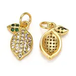 Brass Micro Pave Cubic Zirconia Charms