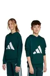Dětská mikina adidas zelená barva, s kapucí, s potiskem, JW3461
