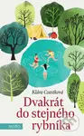 Dvakrát do stejného rybníka - Klára Czastková - kniha z kategorie Společenská beletrie
