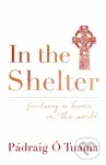 In the Shelter (Finding a Home in the World) - Padraig O Tuama - kniha z kategorie Filozofie