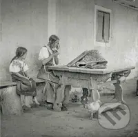 Štefan Molota: Zabudnuté piesne (Vyšla dzifčina) - Štefan Molota