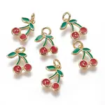 Brass Enamel Charms