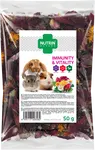 Pamlsek NUTRIN Nature Immunity & Vitality pro hlodavce 50g