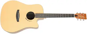 Tanglewood TM5CE