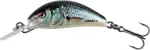 Salmo wobler hornet sinking real dace - 3,5 cm 3,5 g