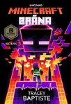 Minecraft - Brána (poškozené) - Tracey Baptiste